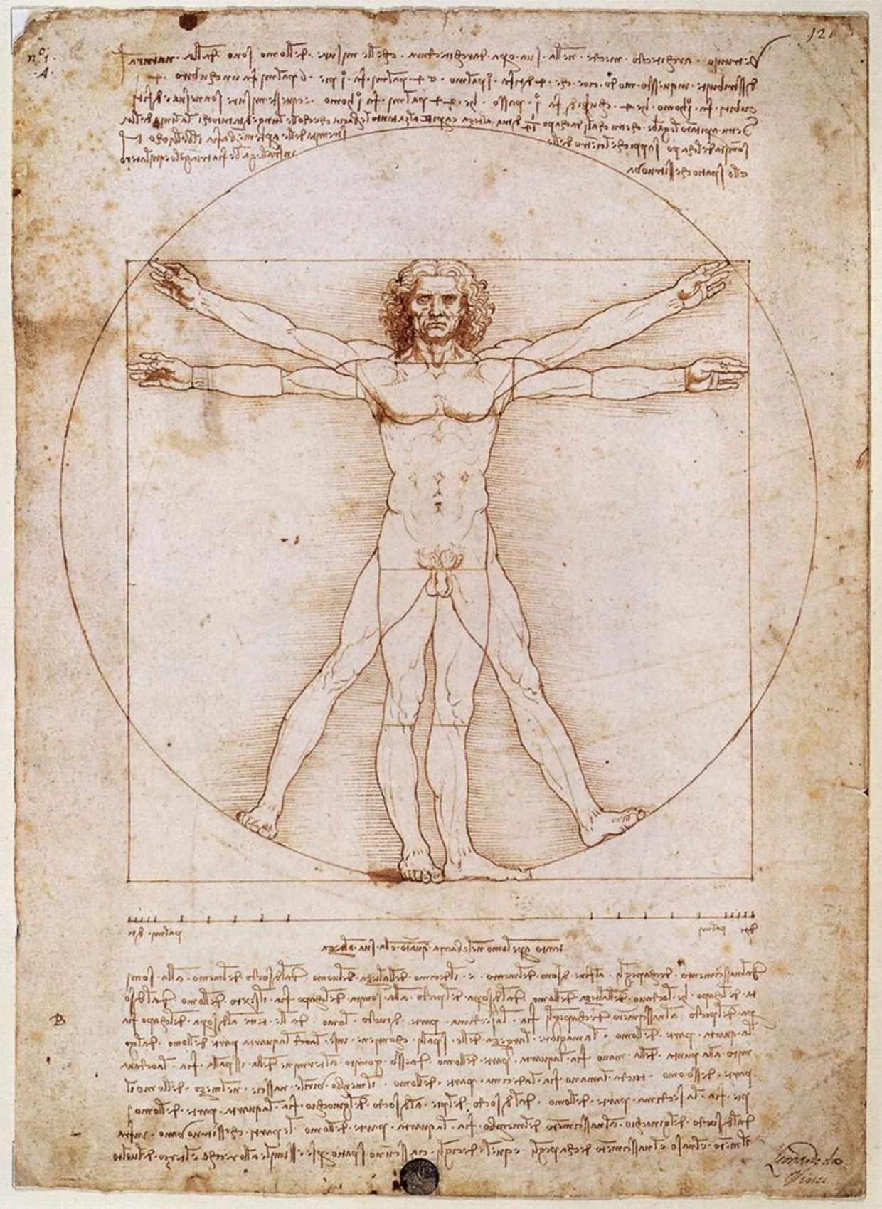 Leonardo da Vinci's Vitruvian Man - Sacred Geometry and divine human proportions